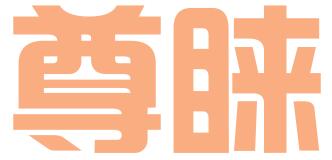 上海尊睐知识产权代理有限公司