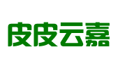 北京皮皮云嘉知识产权代理有限公司
