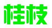 淮南桂枝网络科技有限公司