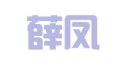 河北薛凤元律师事务所