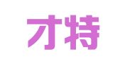 新疆才特好人才服务有限公司伊宁分公司