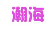 北京瀚海宏图人力资源顾问有限公司