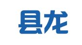 东平县龙山人力资源管理有限公司