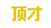 山东顶才人力资源管理有限公司