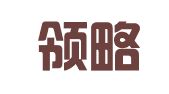 广西领略律师事务所