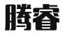 山东腾睿企服科技有限公司