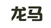 北京龙马知识产权代理有限公司