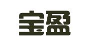 青岛宝盈代理记账有限公司