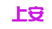 上海上安霓虹灯广告公司