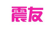 上海震友企业登记代理有限公司
