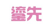 上海鎏先企业登记代理有限公司