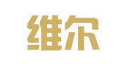 上海维尔希财务咨询有限公司