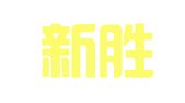 上海新胜财务管理咨询有限公司