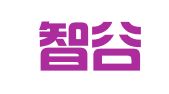 合肥智谷知识产权服务咨询有限公司
