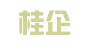 桂林桂企财务服务有限公司
