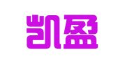 宁波凯盈财务管理有限公司