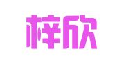 上海梓欣财务咨询有限公司