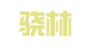 上海骁林财务咨询有限公司