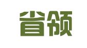 四川省领头羊财务集团有限公司