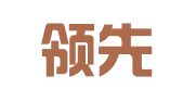 宜宾领先财务咨询有限公司